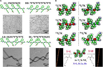 Chirality Effects in Peptide Assembly Structures